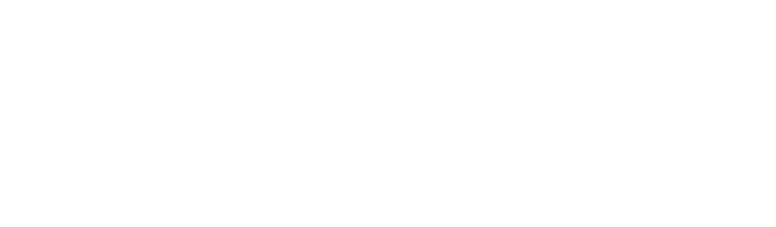 light logo